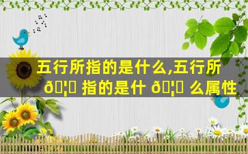五行所指的是什么,五行所 🦋 指的是什 🦄 么属性